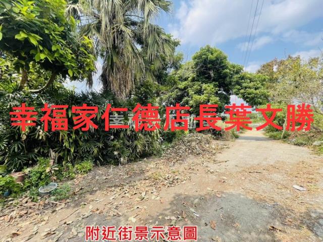 新化農地-14