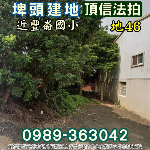 埤頭法拍建地-0