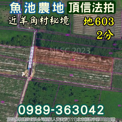 魚池農地法拍-2