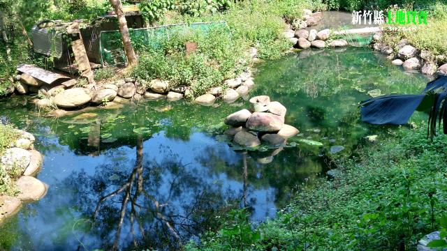 新竹農地新竹山坡地新竹休閒地新竹景觀地小坪數農地露