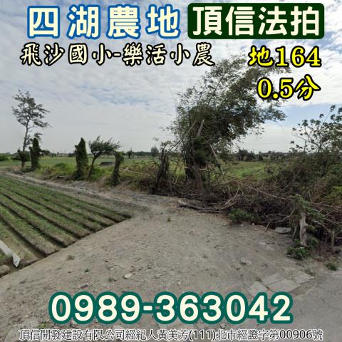 四湖農地法拍-2