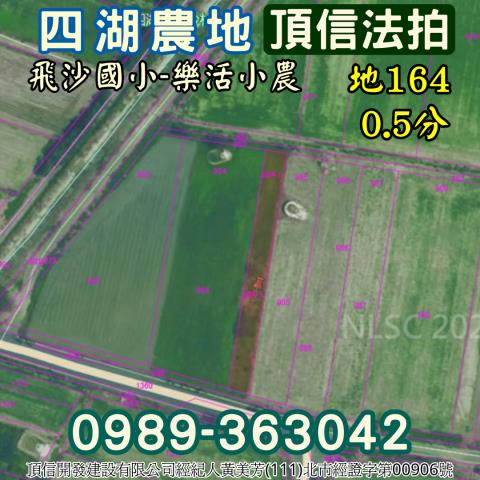 四湖農地法拍-3