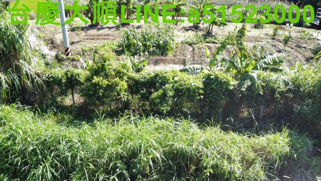 新竹農地-4