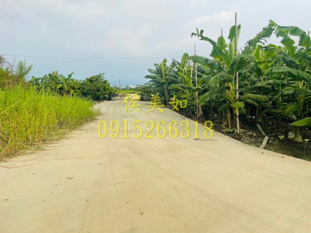嘉義農地-4