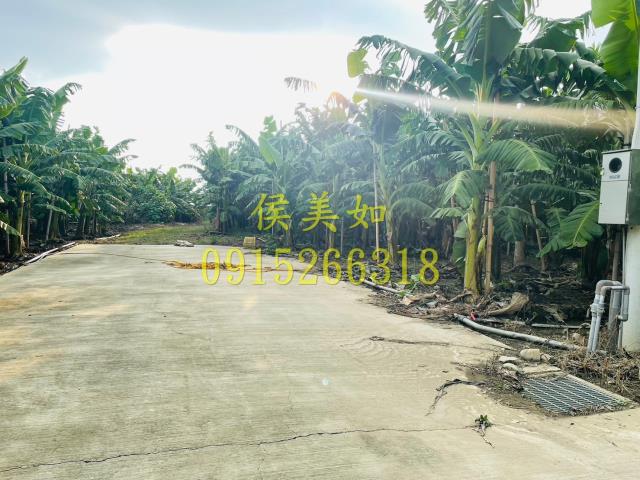 嘉義農地-7