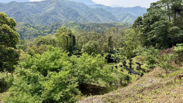 新竹北埔農地-2