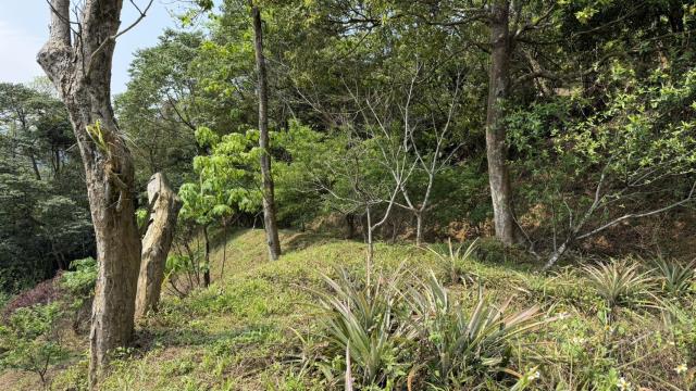 新竹北埔農地-6