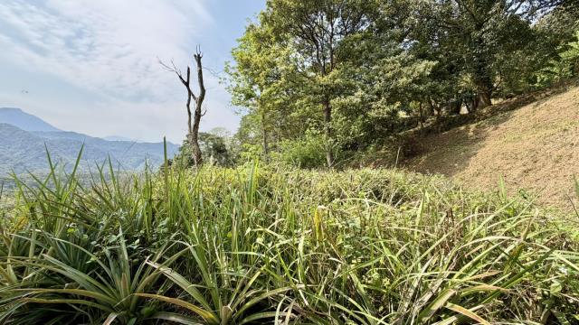 新竹北埔農地-8