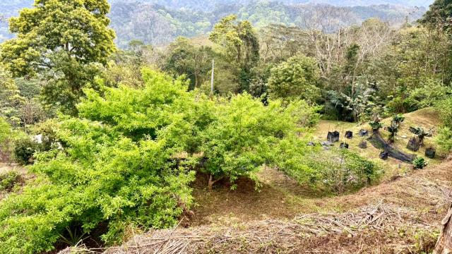 新竹北埔農地-11