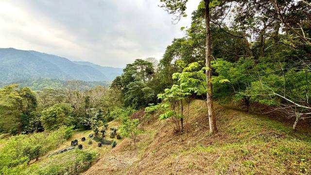 新竹北埔農地-12