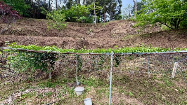 新竹縣北埔鄉農地農舍休閒地