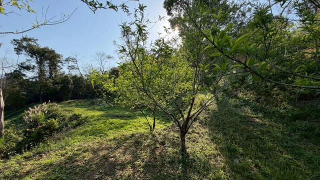 新竹北埔農地-9