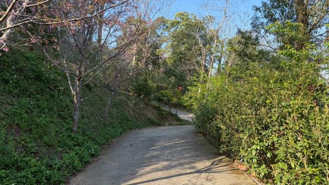 新竹北埔農地-12