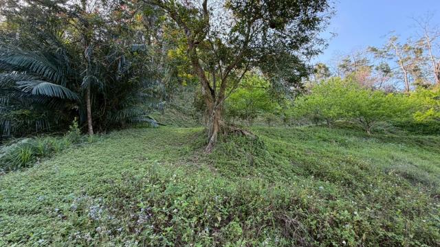 新竹北埔農地-7