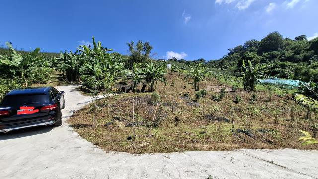 台中東勢農地-11