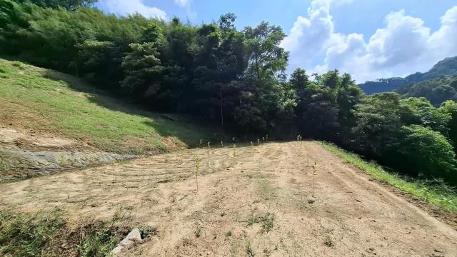 台中東勢農地-1