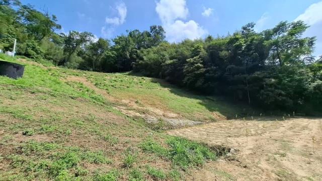 台中東勢農地-3