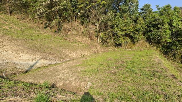 台中東勢農地-7