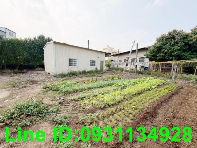 台中后里建地-1