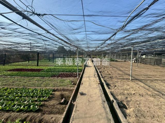 台南南區農地-0