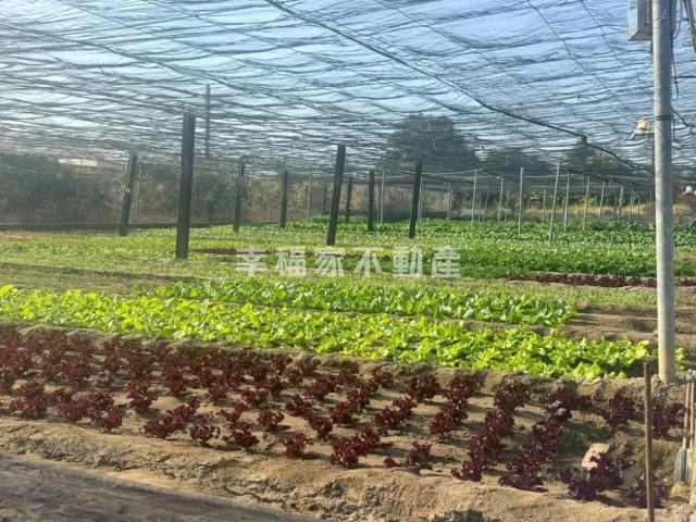 台南南區農地-1