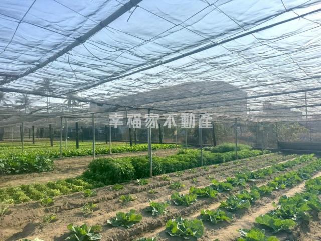 台南南區農地-4