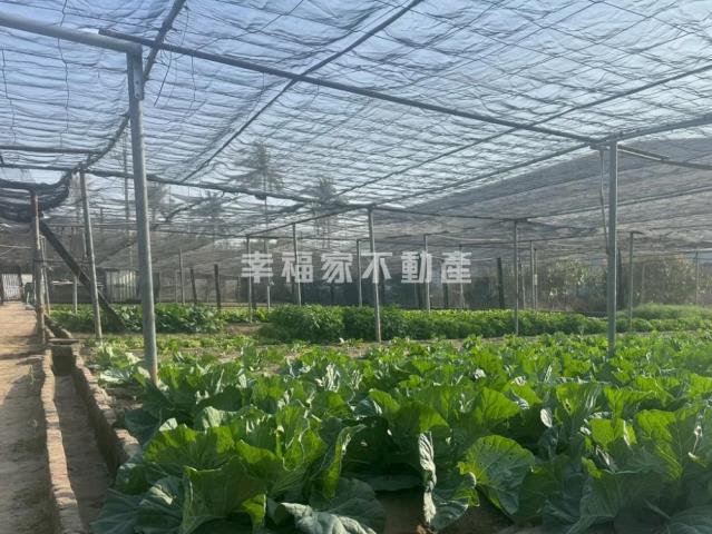 台南南區農地-6