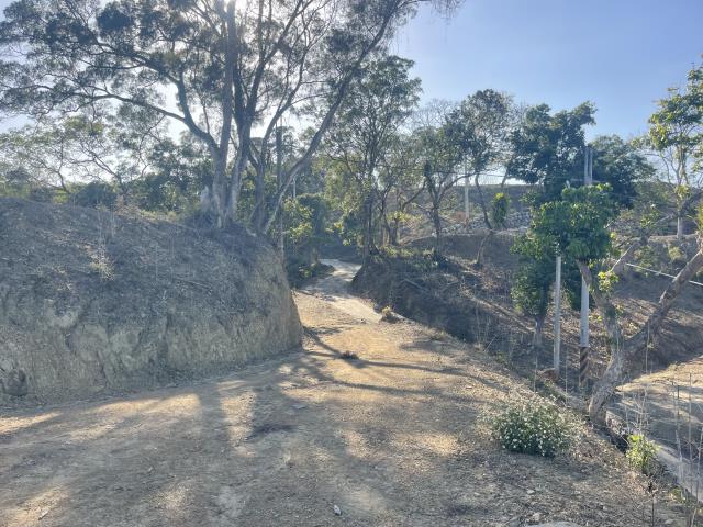 南投中寮農地-6