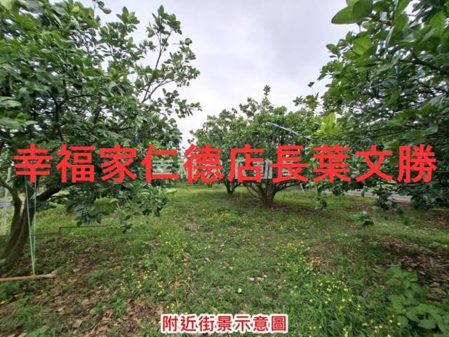 下營農地-14