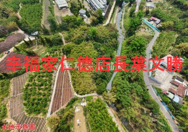 台南農地-9