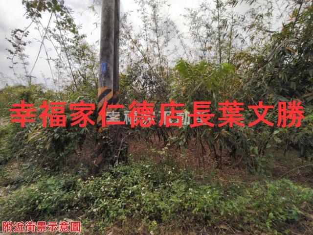 台南農地-8