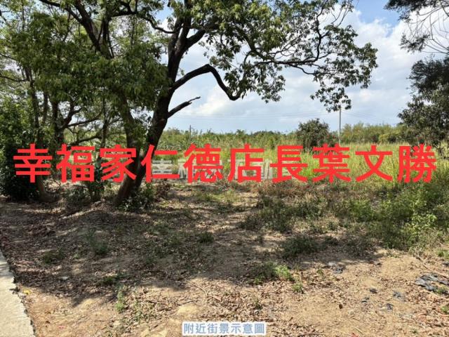 台南農地-12