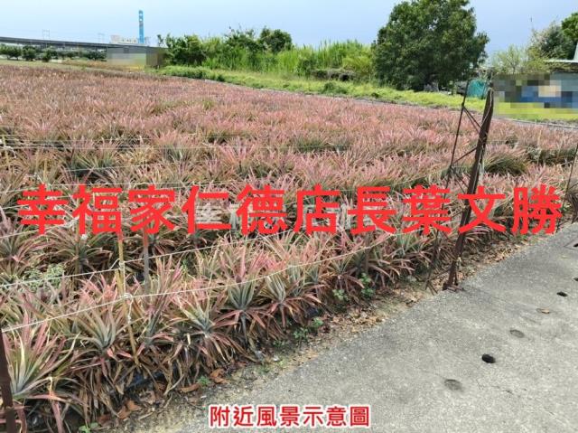 台南農地-10