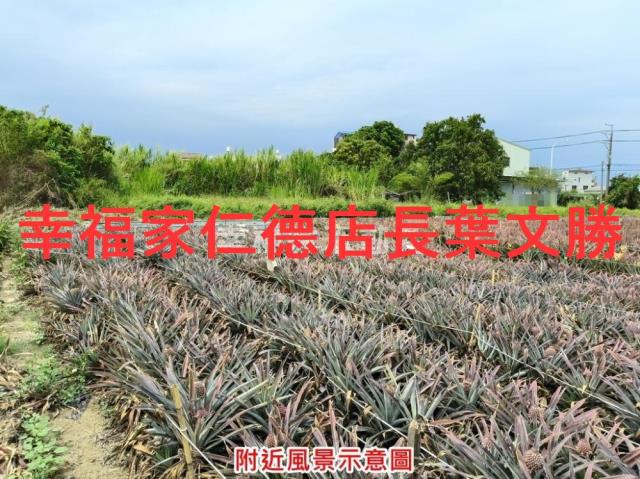 台南農地-13