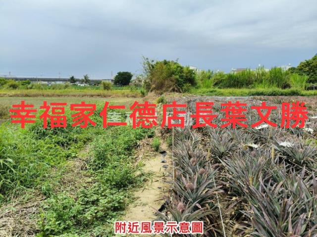 台南農地-0
