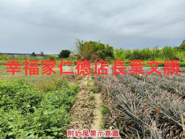 台南農地-1