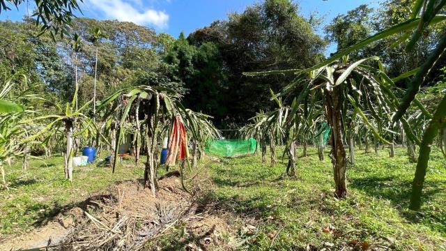 新竹峨眉農地-6