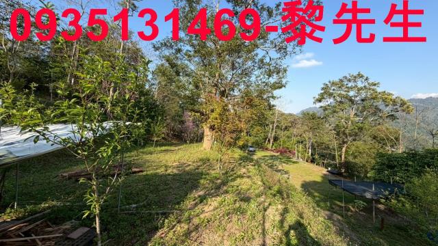 新竹北埔農地-6