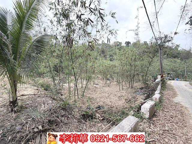 台南新化農地-5