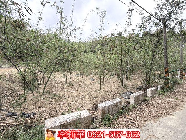 台南新化農地-6