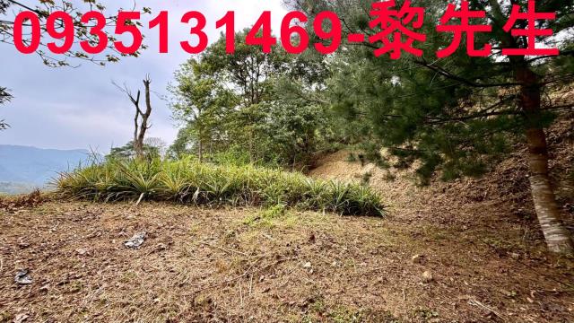 新竹北埔農地-11