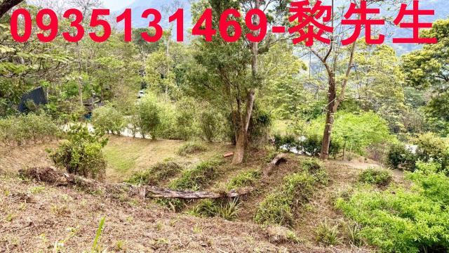 新竹北埔農地-9