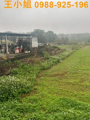 大溪農地-2