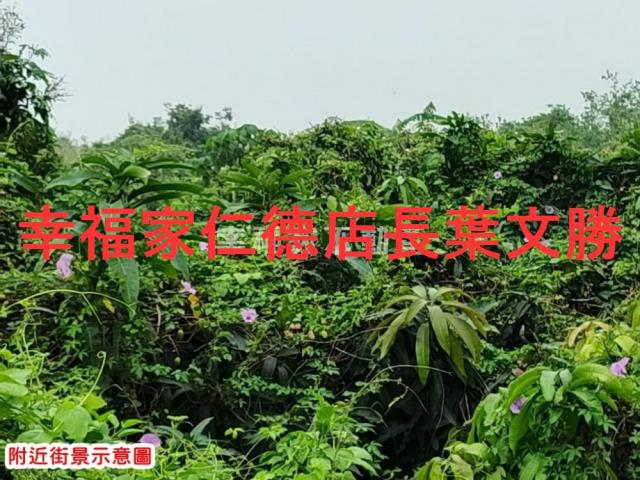 官田農地-13