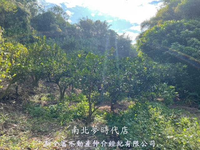 東山農地-3