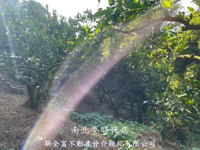 東山農地-8