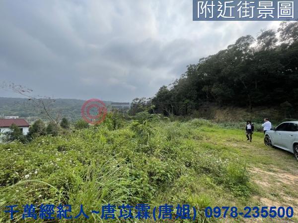 新竹縣市房地產新埔大北坑茶園