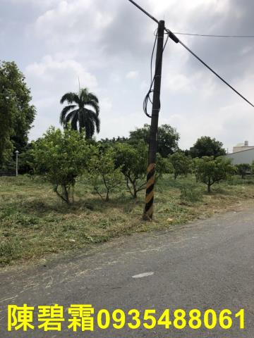 台南農地-9