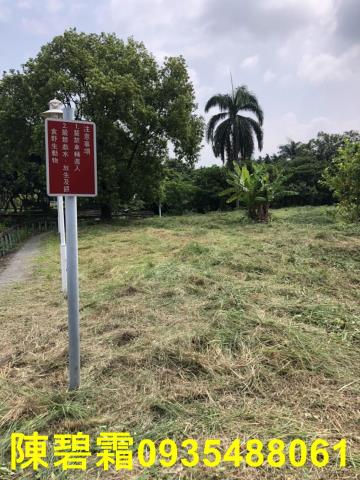 台南農地-8