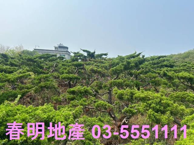 新竹縣新豐鄉青埔子買農地送羅漢松園春明地產